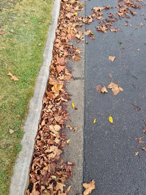 Roading/Streets, a report photo
