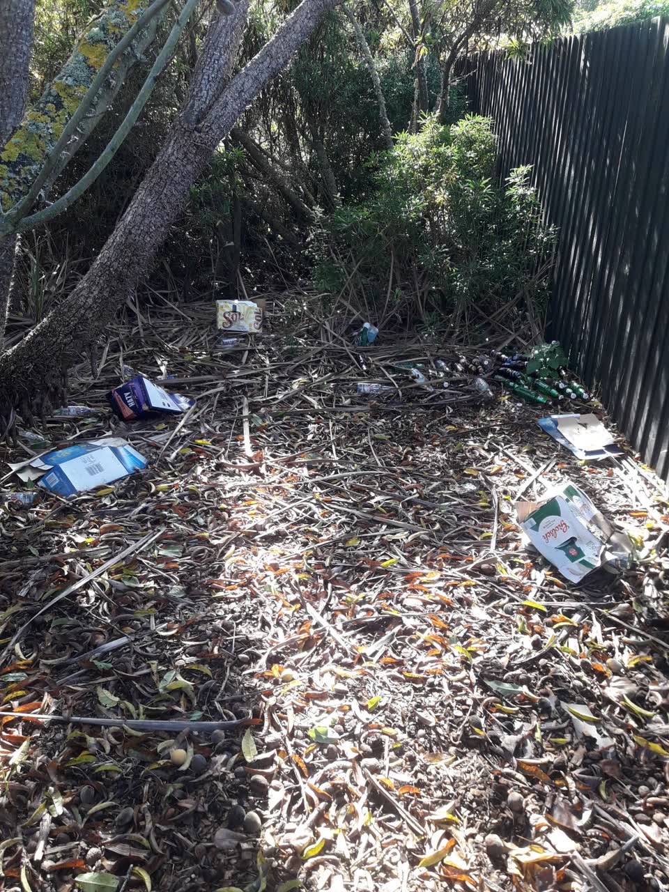 The photograph attached to this parks report
