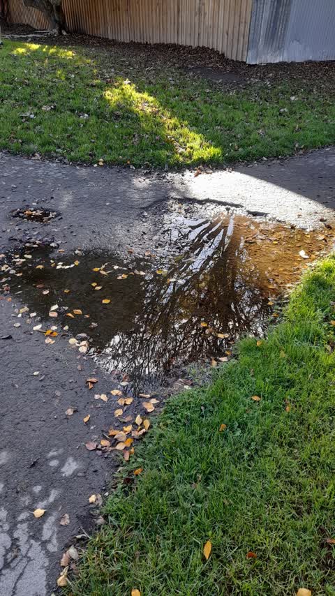 Parks, a report photo