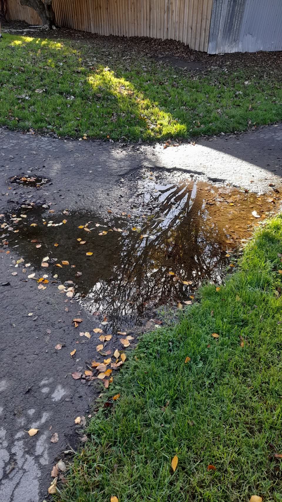 The photograph attached to this parks report
