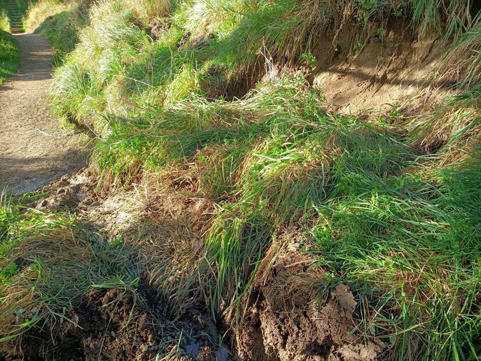 The photograph attached to this parks report