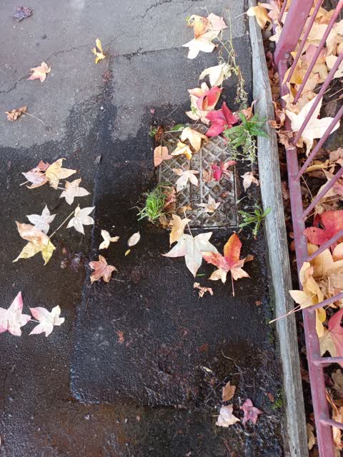 Water Leak, a report photo