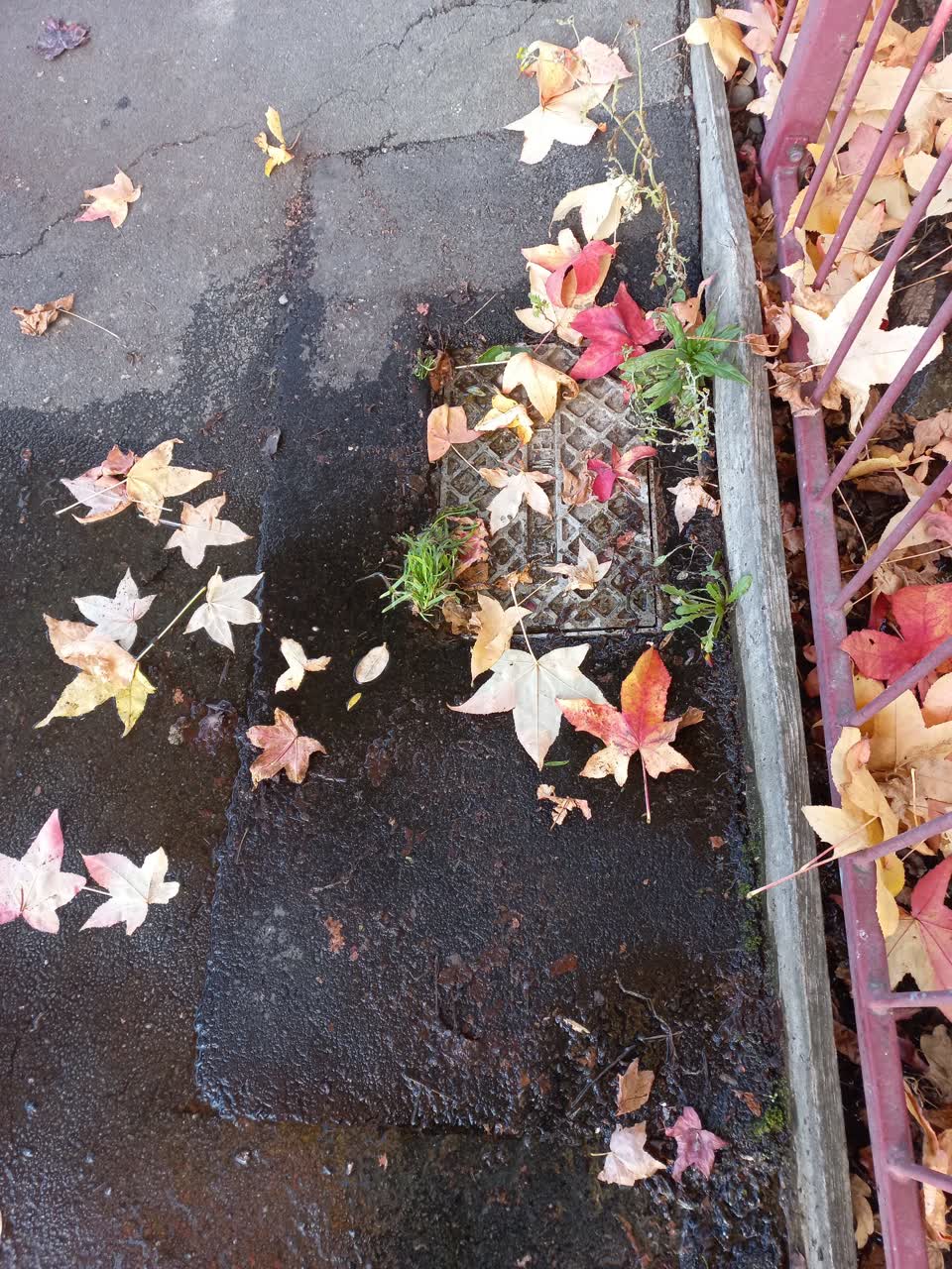 The photograph attached to this water leak report