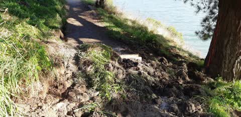 Parks, a report photo