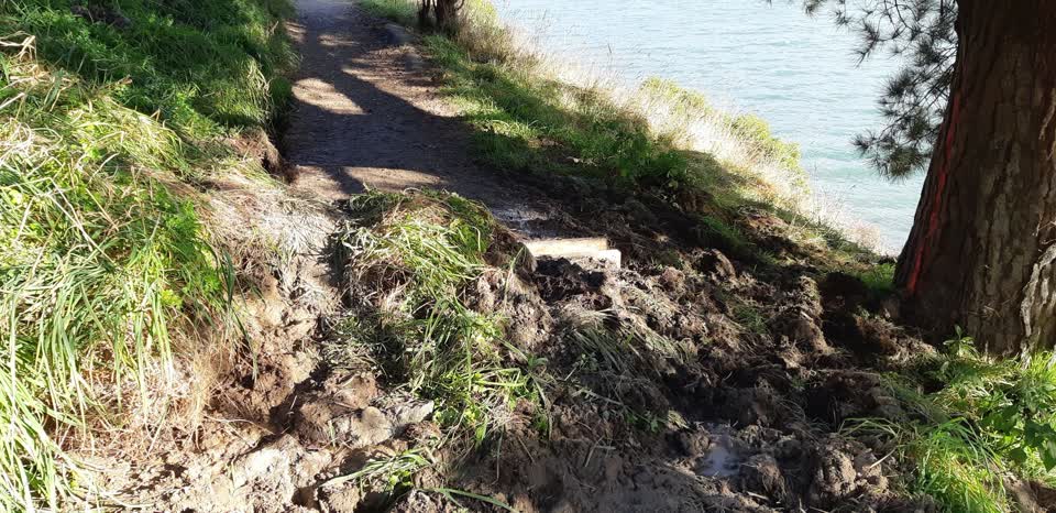 The photograph attached to this parks report
