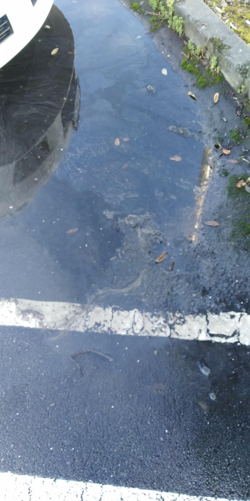 The photograph attached to this sewer - leak / blockage report