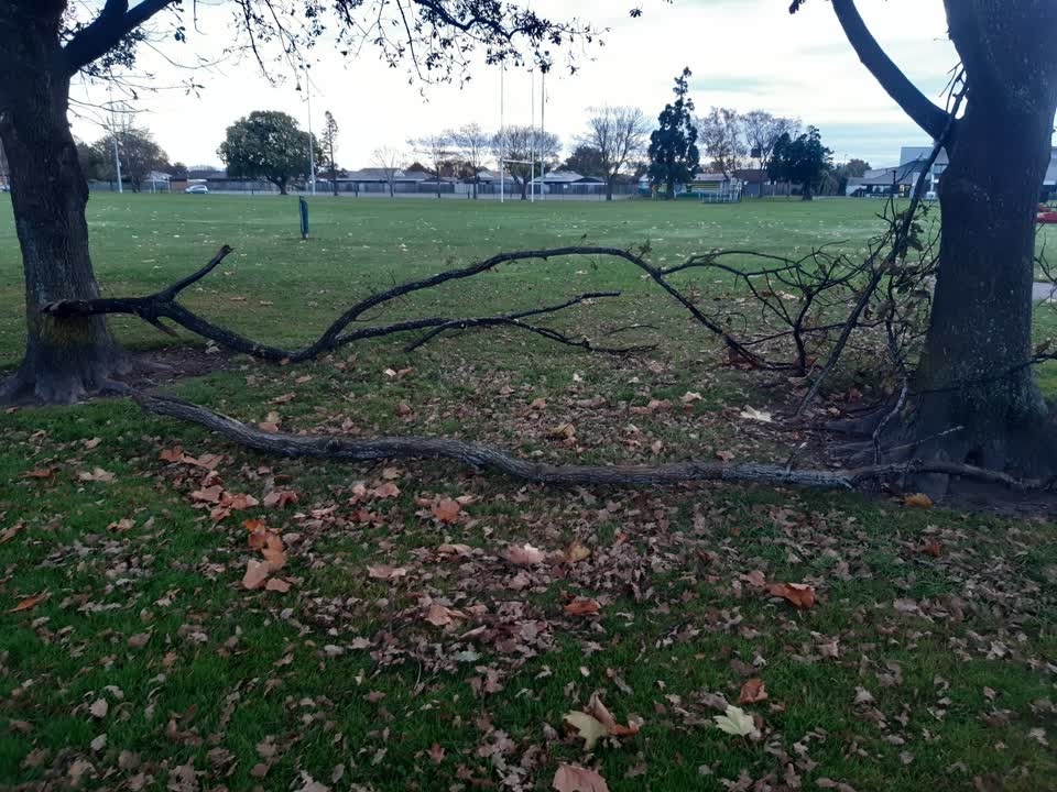 The photograph attached to this parks report