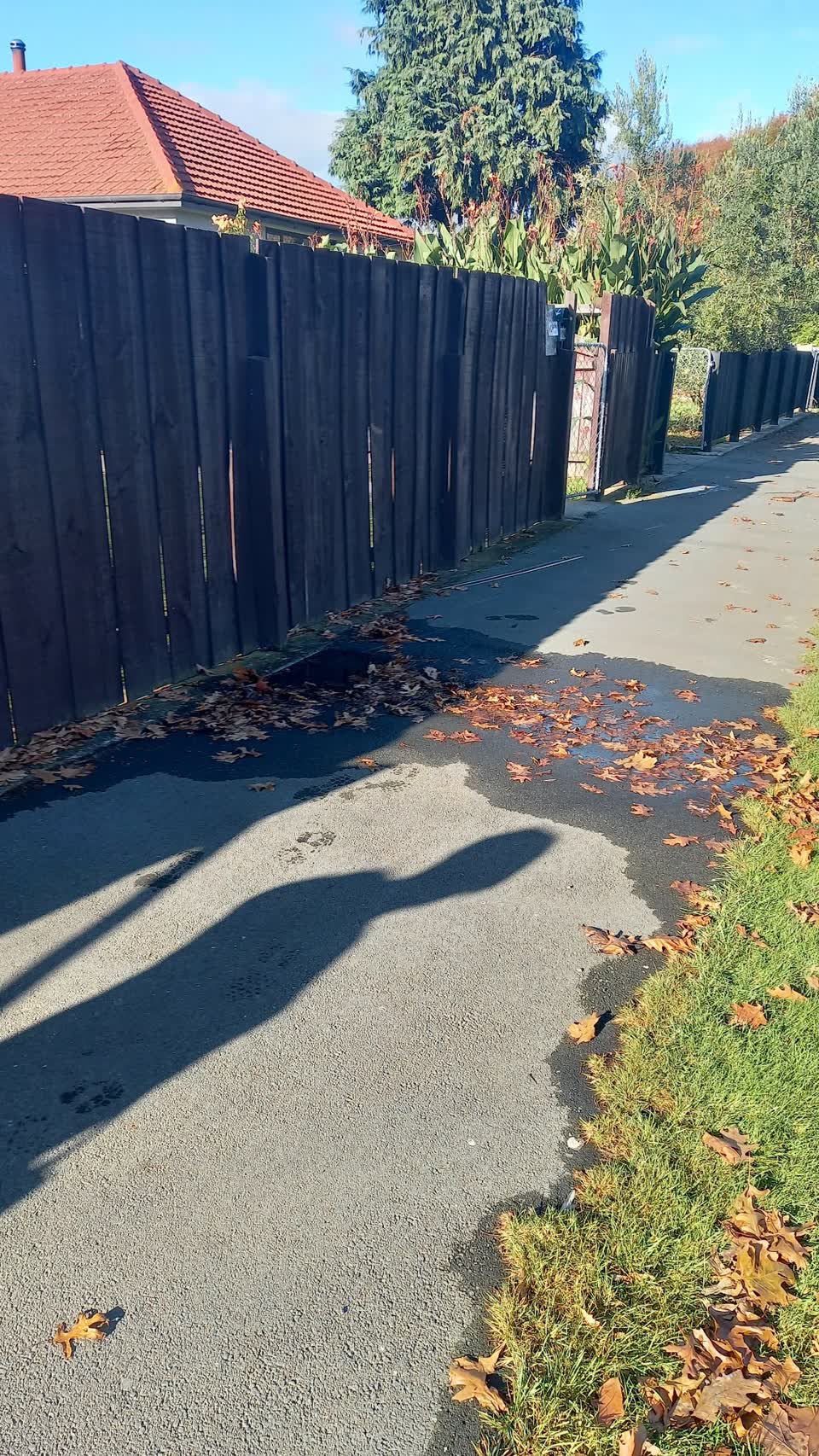 The photograph attached to this water leak report