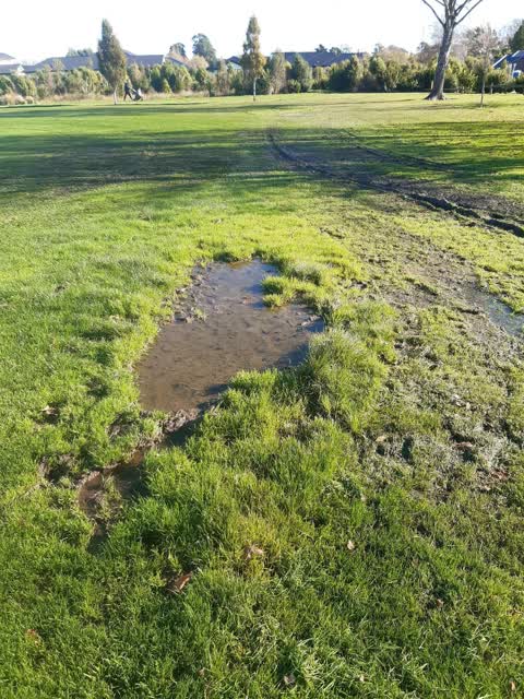 Parks, a report photo
