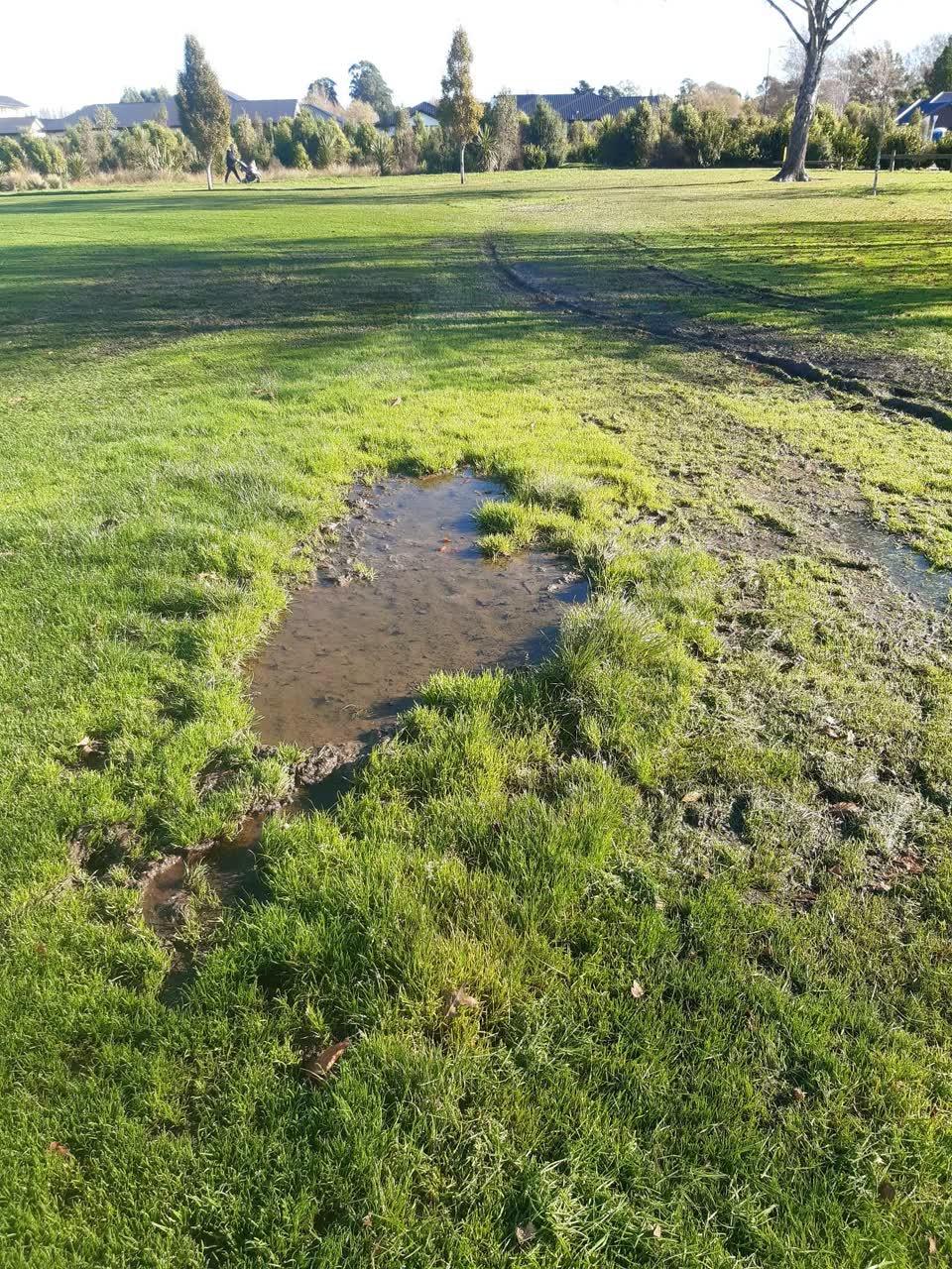 The photograph attached to this parks report