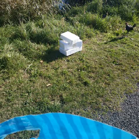 Rubbish/Recycling, a report photo