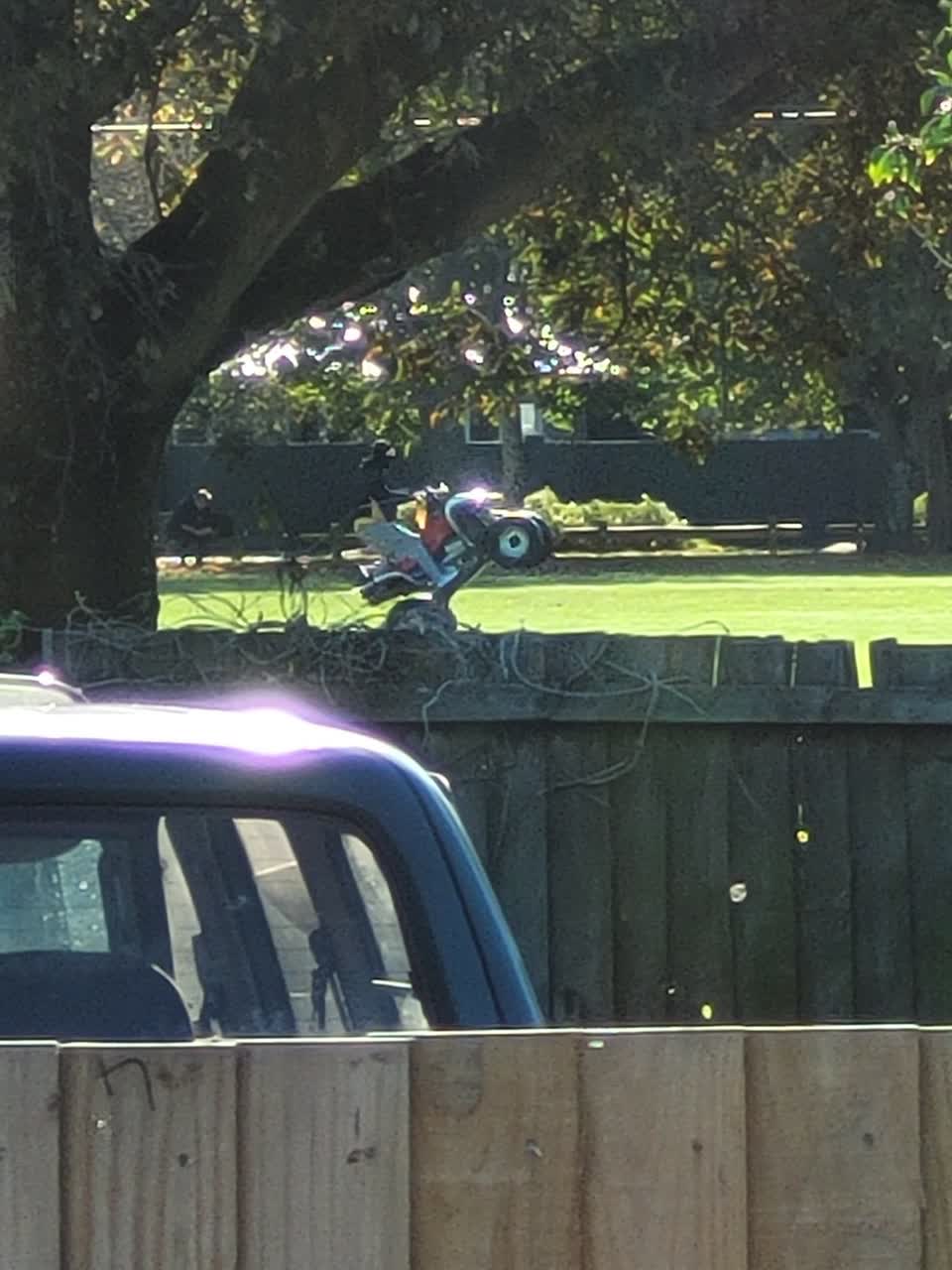 The photograph attached to this parks report