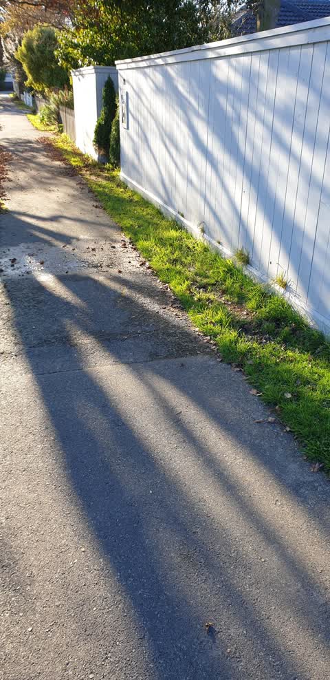 Water Leak, a report photo