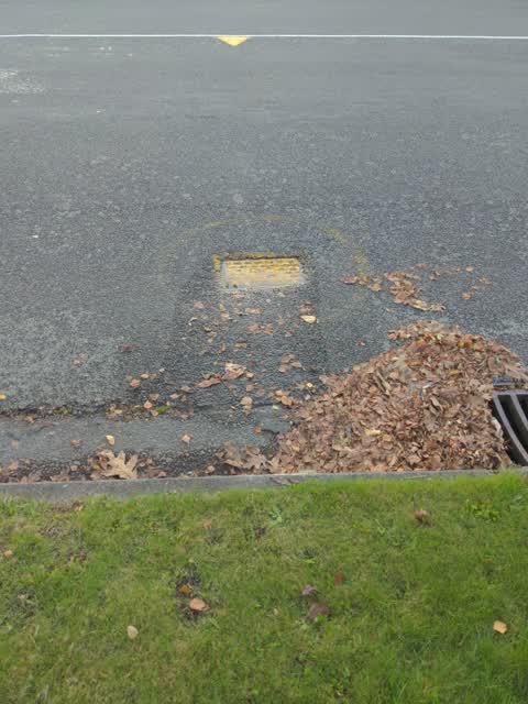 Water Leak, a report photo