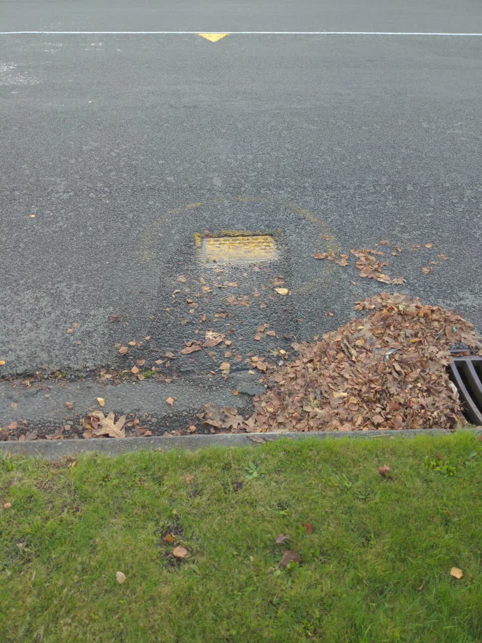 The photograph attached to this water leak report