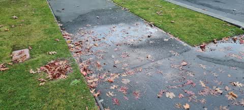 Water Leak, a report photo