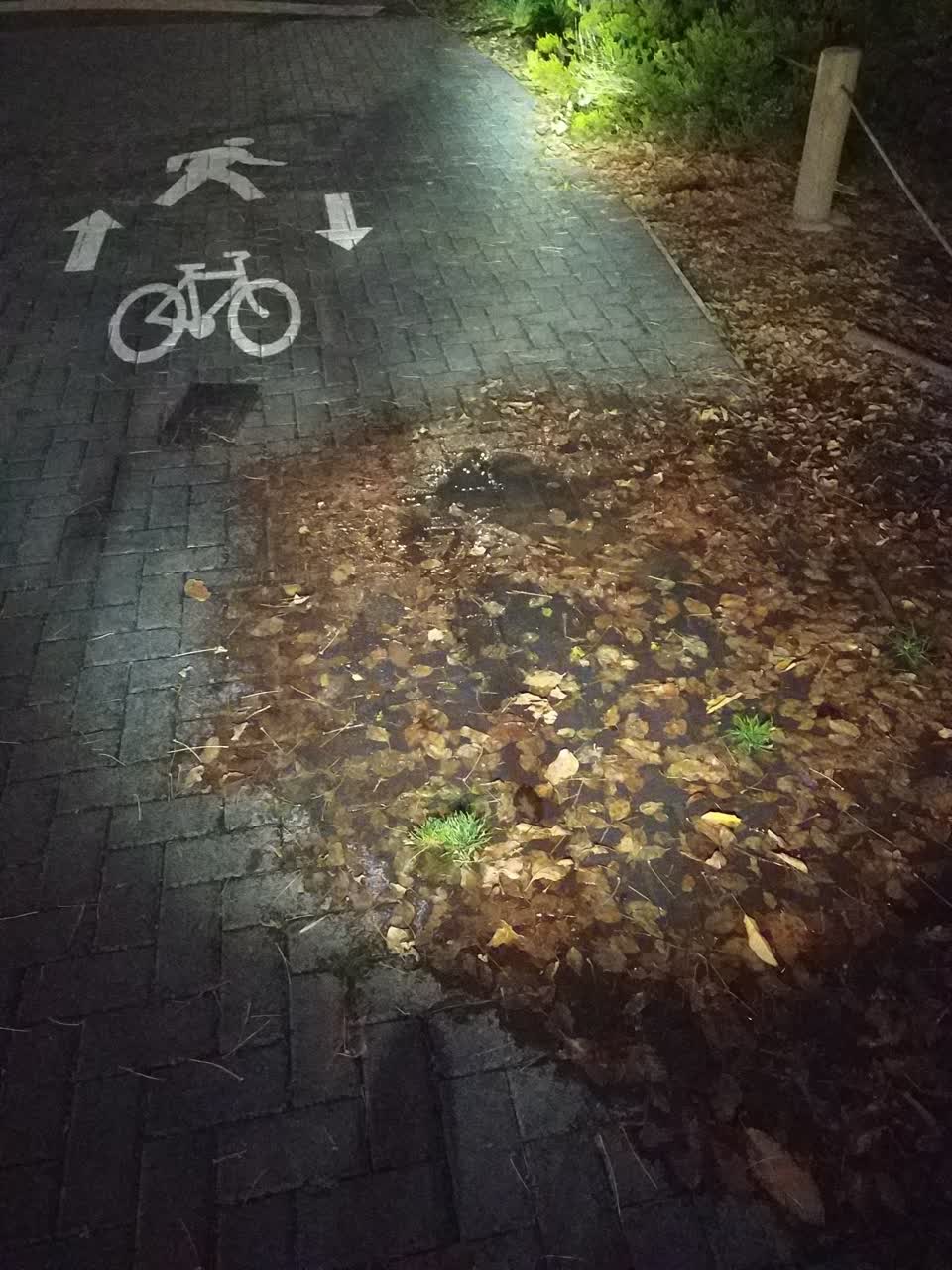 The photograph attached to this water leak report