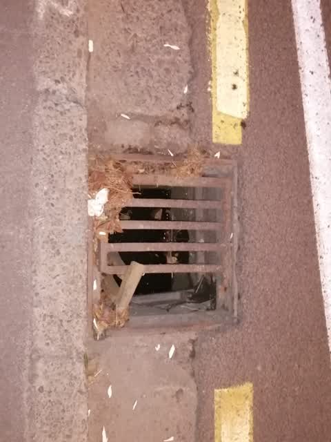 Wastewater/Stormwater, a report photo
