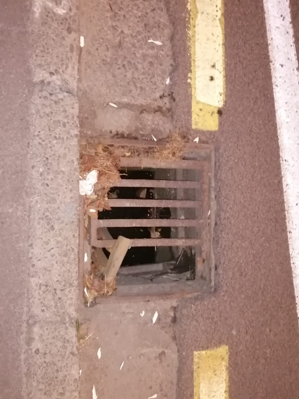 The photograph attached to this wastewater/stormwater report