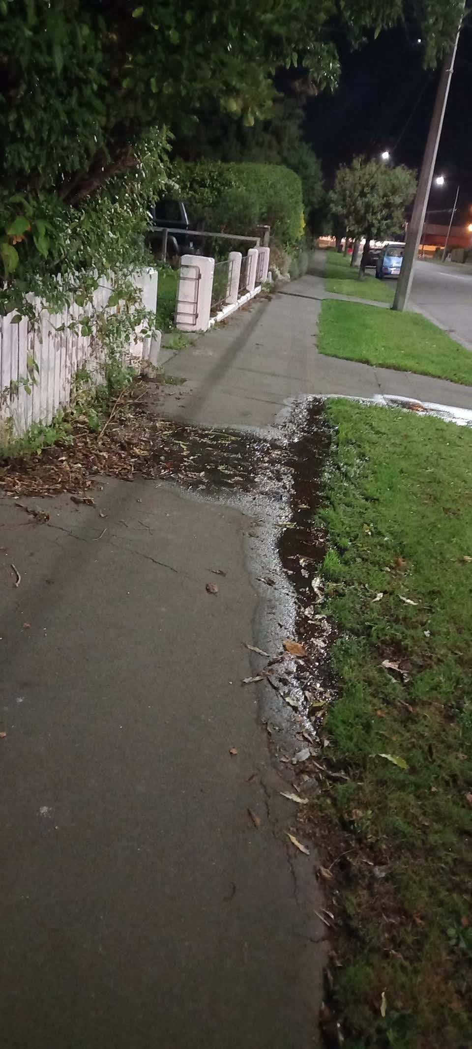 The photograph attached to this water leak report