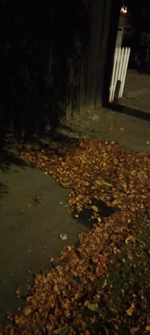 Water Leak, a report photo