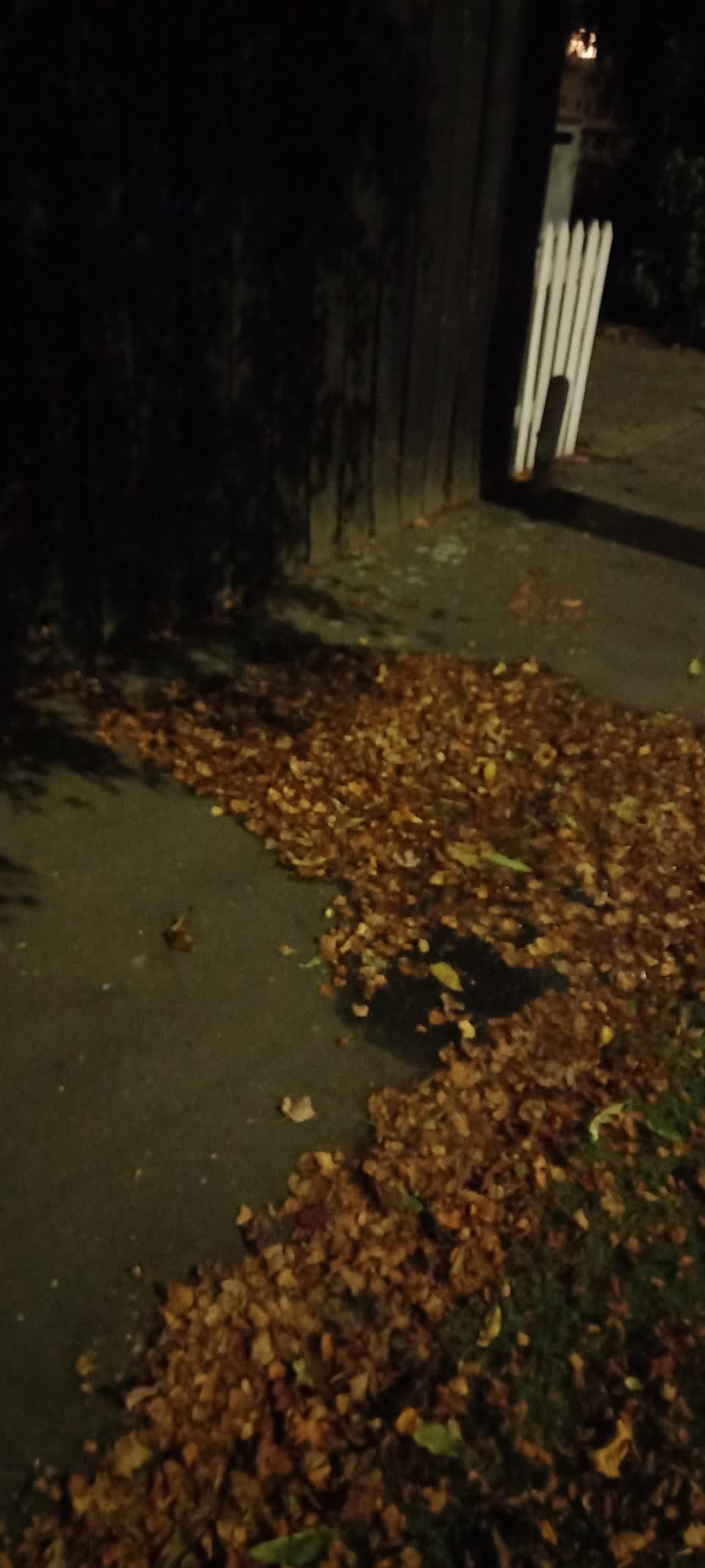 The photograph attached to this water leak report