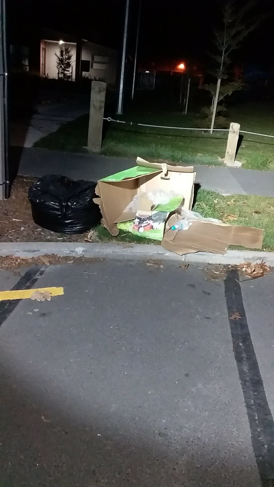The photograph attached to this rubbish/recycling report