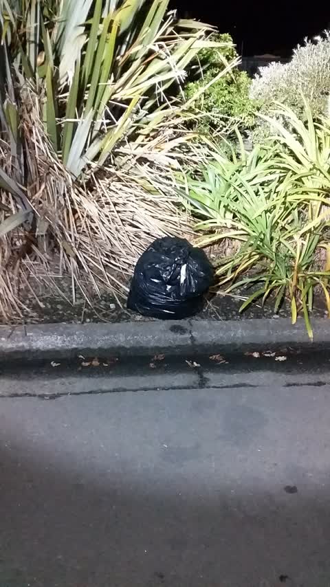 Rubbish/Recycling, a report photo