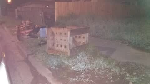 Rubbish/Recycling, a report photo