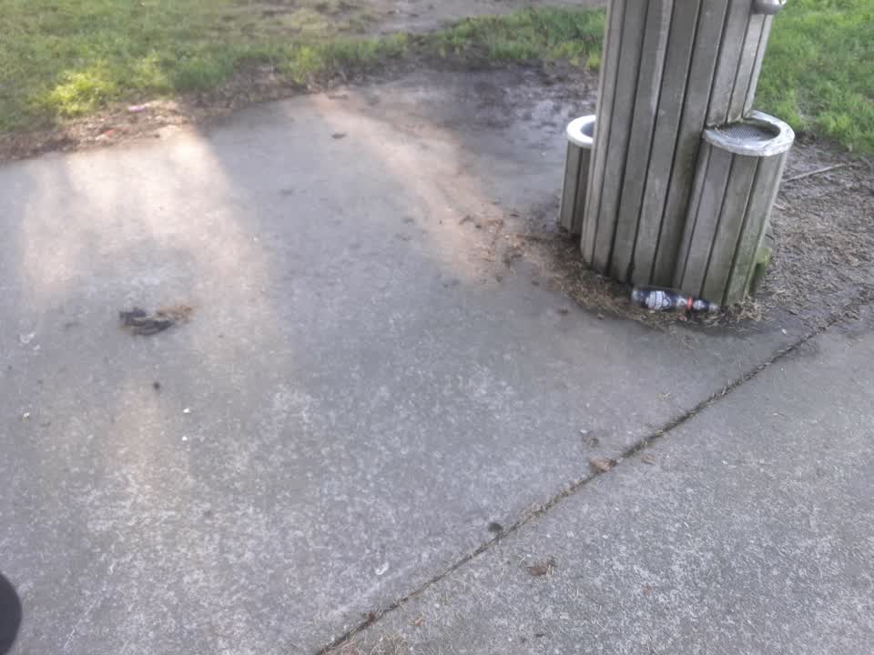 The photograph attached to this parks report