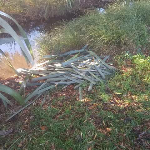 Rubbish/Recycling, a report photo