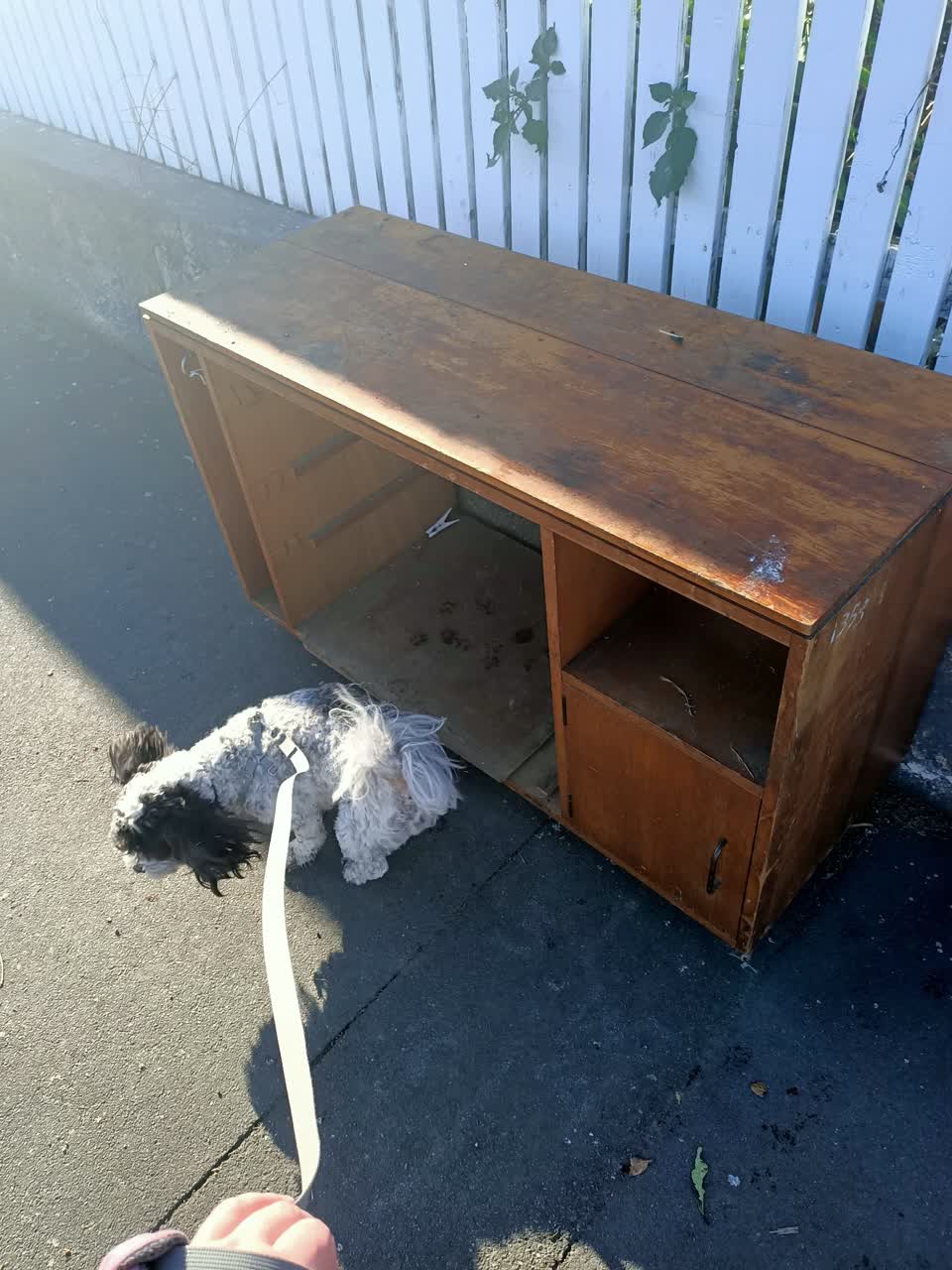 The photograph attached to this parks report