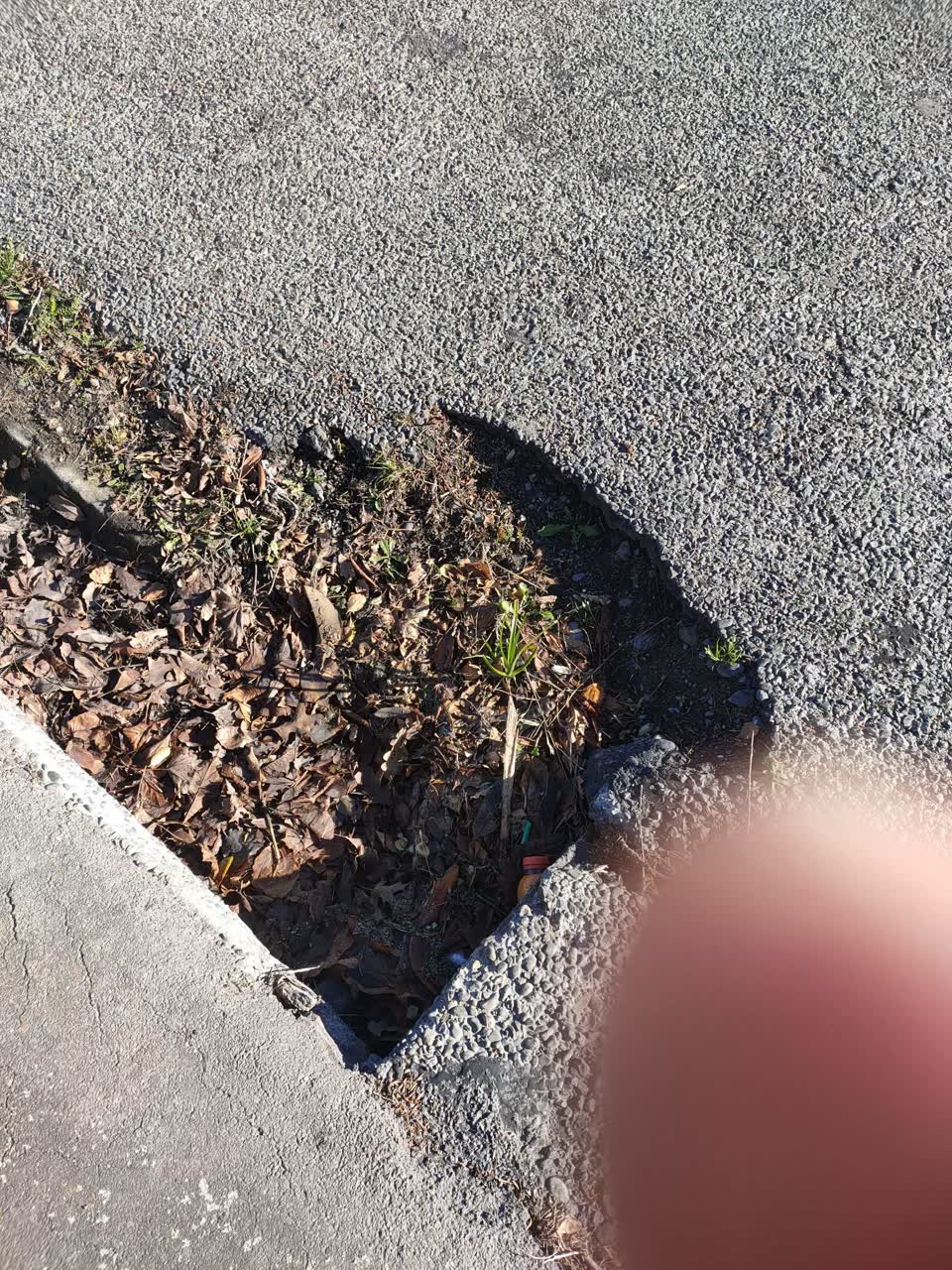 The photograph attached to this roading/streets report