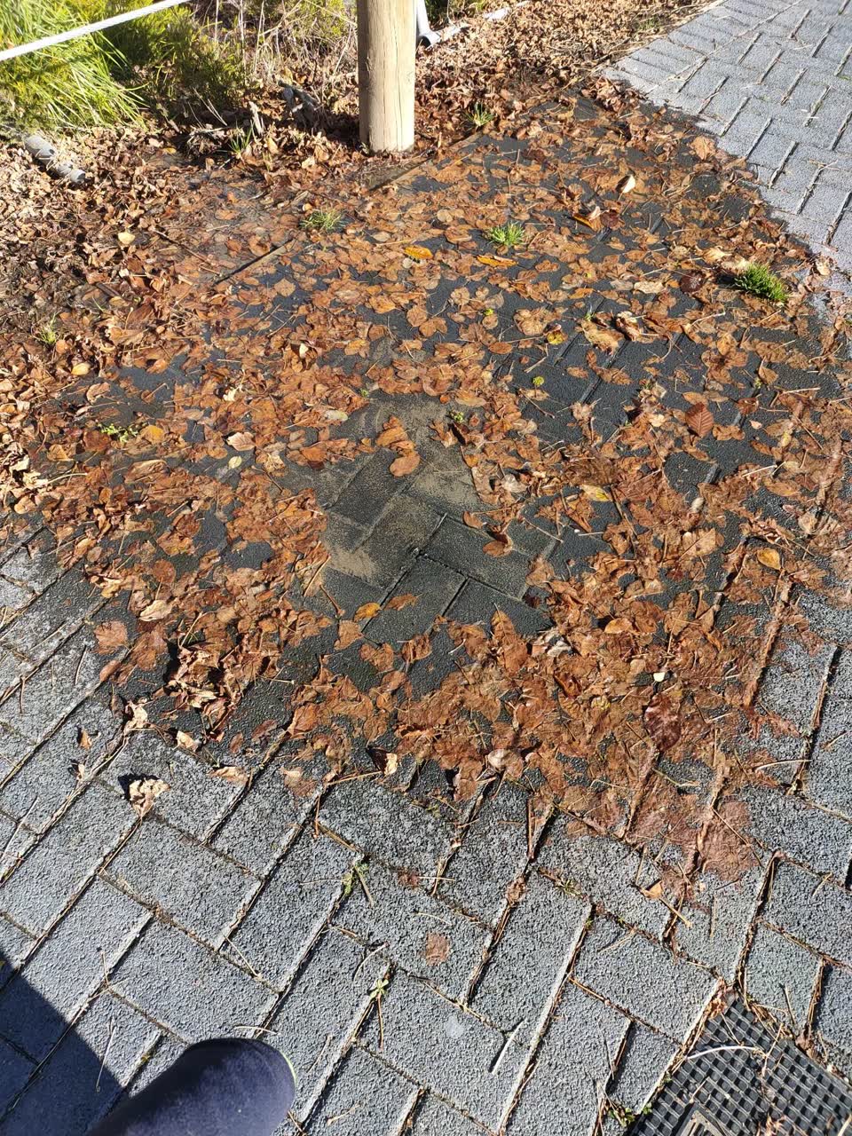 The photograph attached to this water leak report