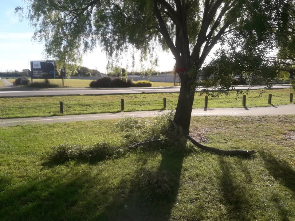 The photograph attached to this parks report