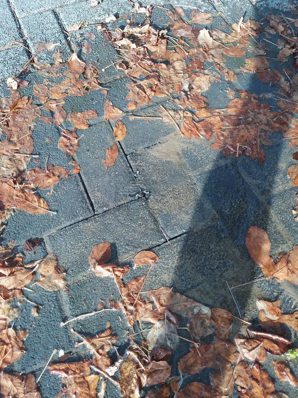 The photograph attached to this water leak report