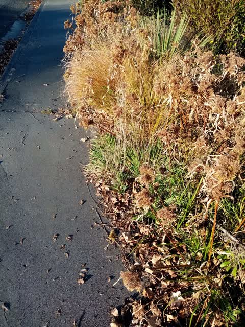 Roading/Streets — a report photo