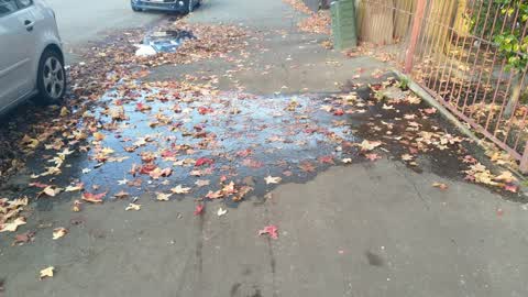 Water Leak, a report photo