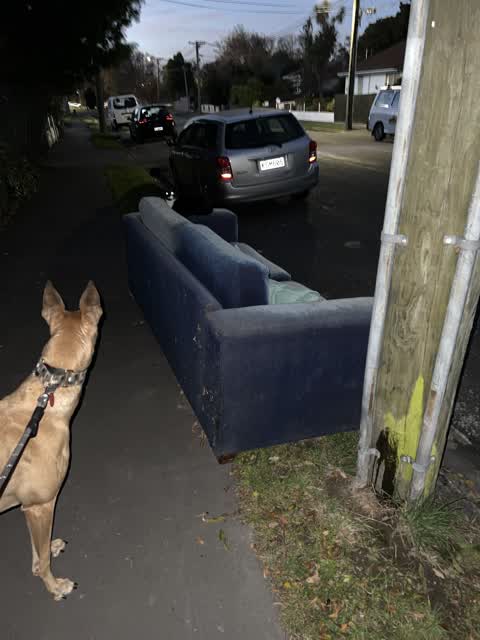 Rubbish/Recycling, a report photo