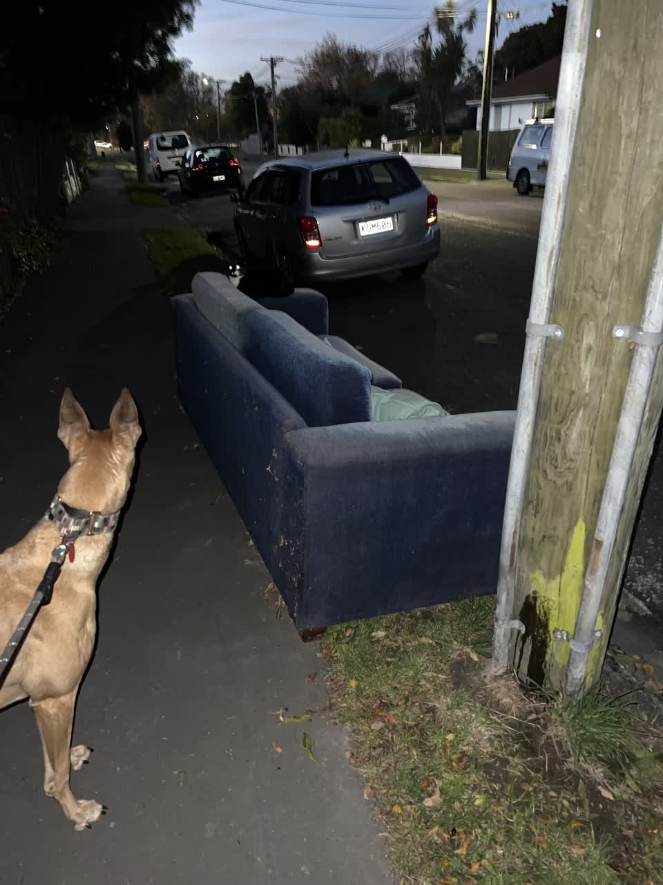 The photograph attached to this rubbish/recycling report