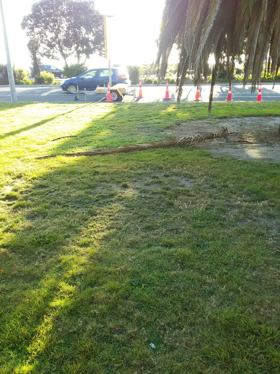 The photograph attached to this parks report