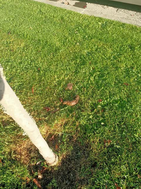 Roading/Streets, a report photo