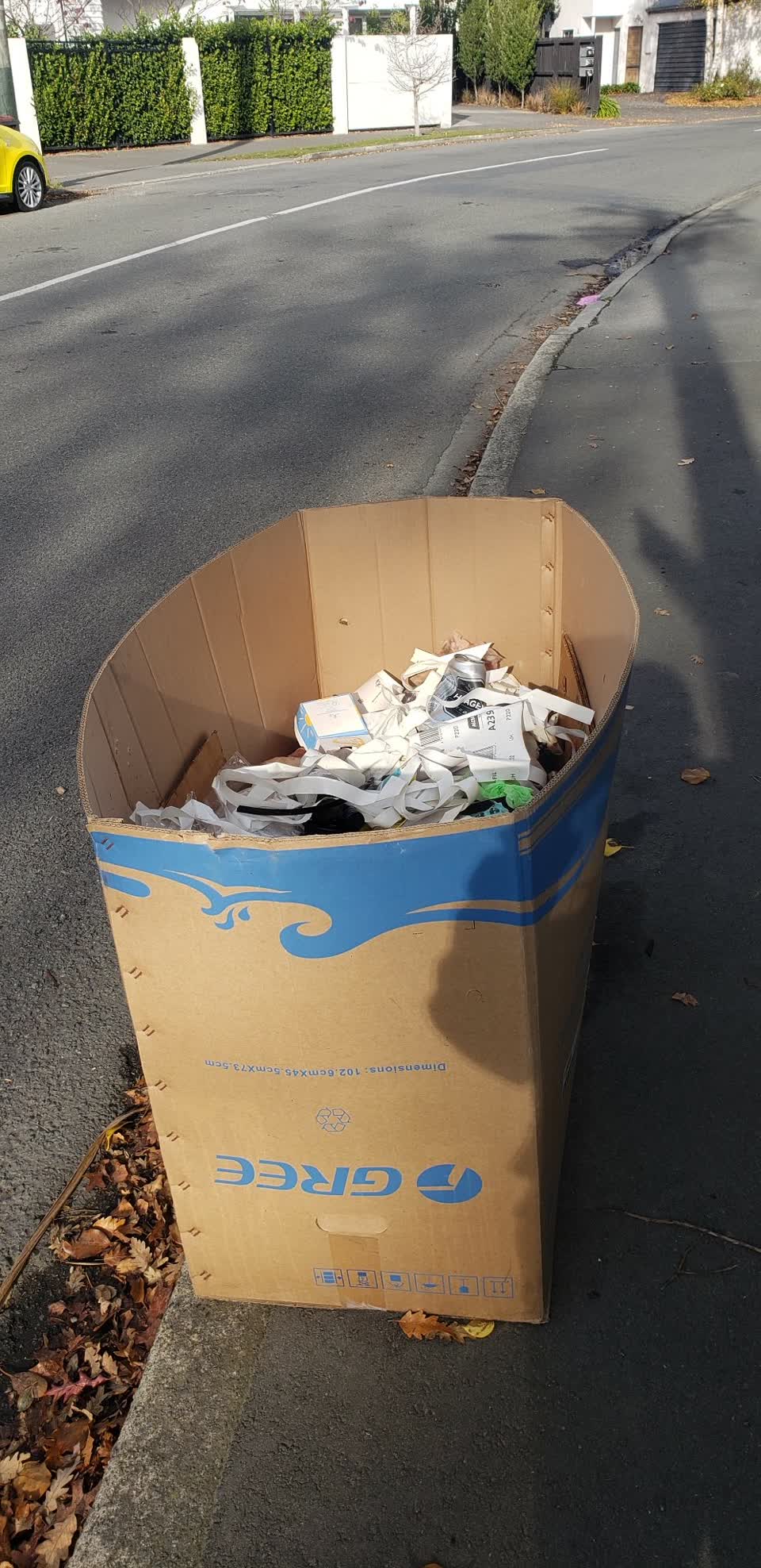 The photograph attached to this rubbish/recycling report