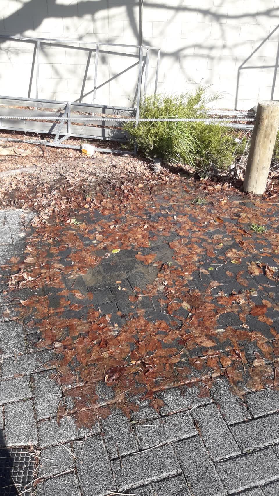 The photograph attached to this water leak report