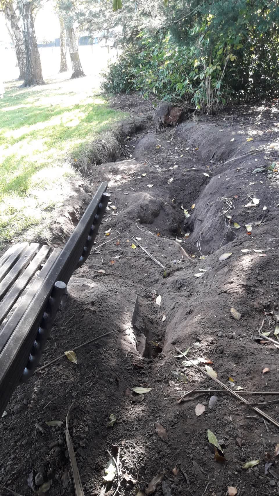 The photograph attached to this parks report