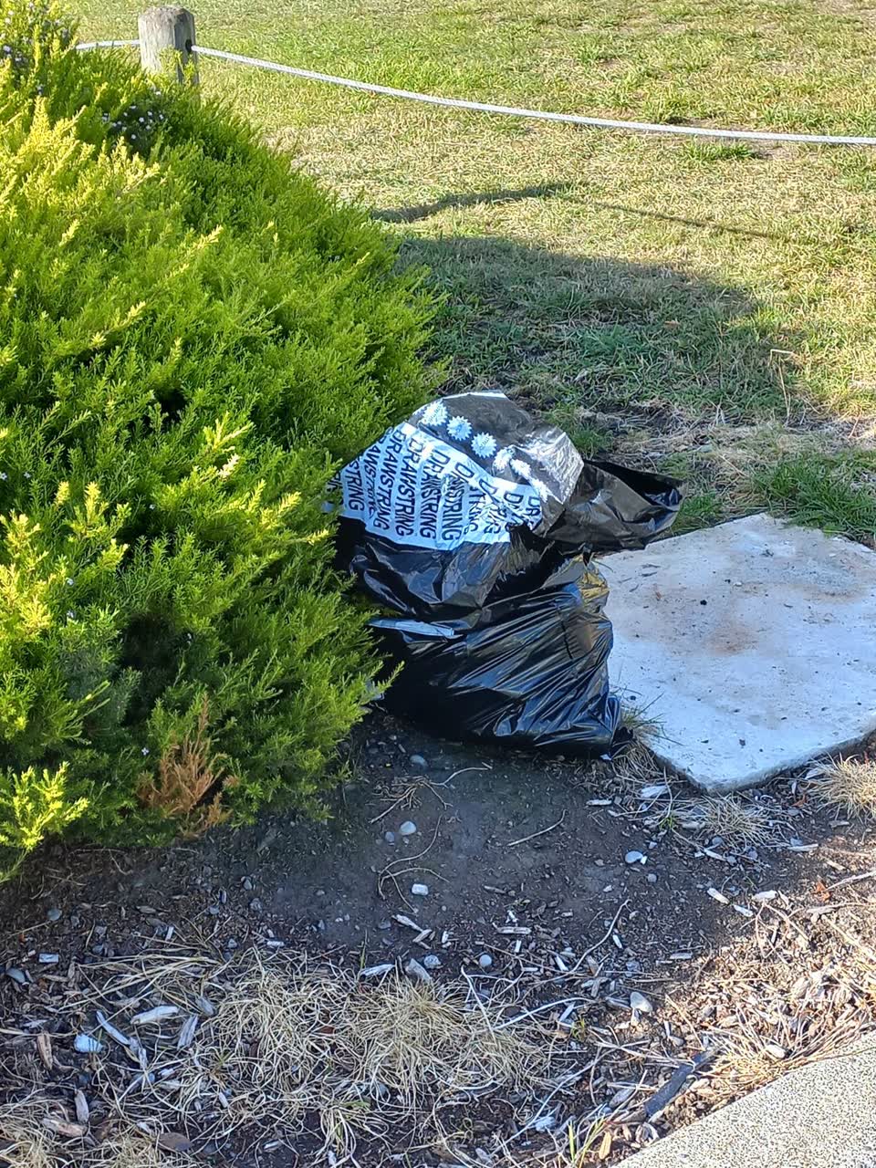 The photograph attached to this parks report