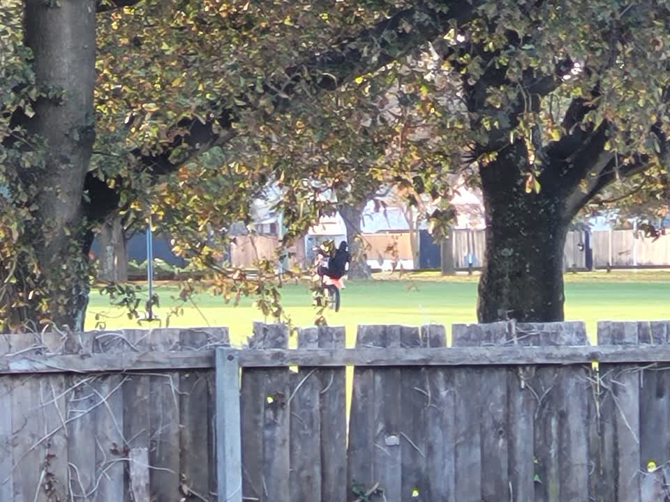 The photograph attached to this parks report