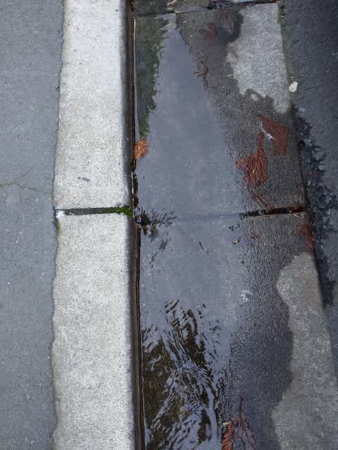 Roading/Streets, a report photo