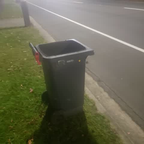 Rubbish/Recycling, a report photo