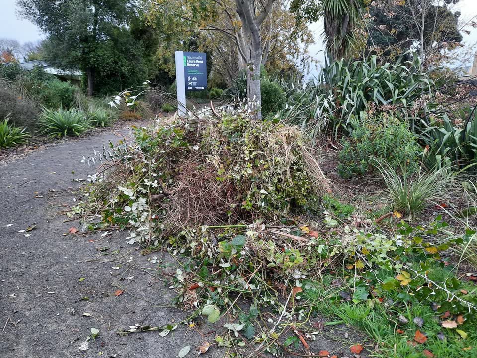 The photograph attached to this parks report